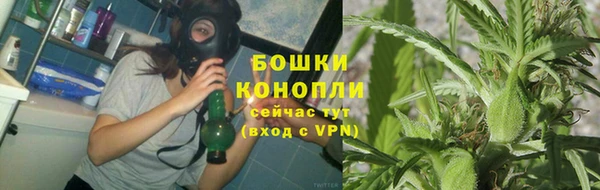 молекула духа Яранск