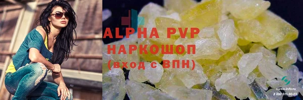 СК Корсаков