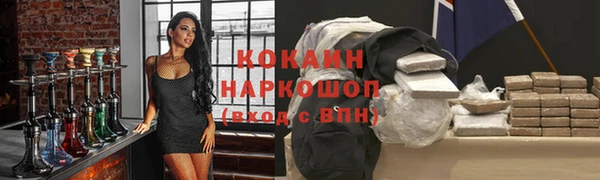 стаф Кодинск