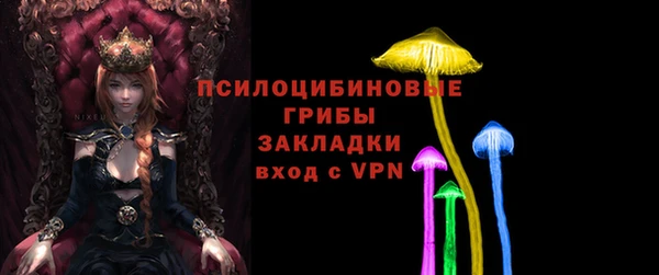 крисы Коряжма