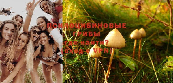стаф Кодинск