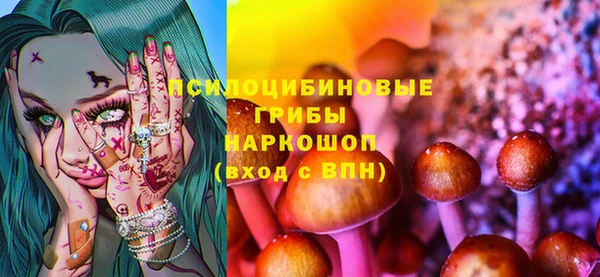 спиды Козловка