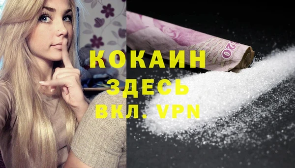 крисы Коряжма