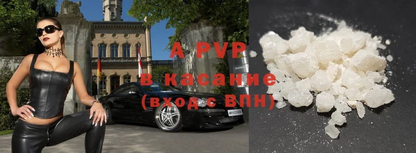 крисы Коряжма