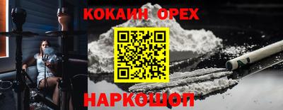 ГАЛЛЮЦИНОГЕННЫЕ ГРИБЫ Гусев