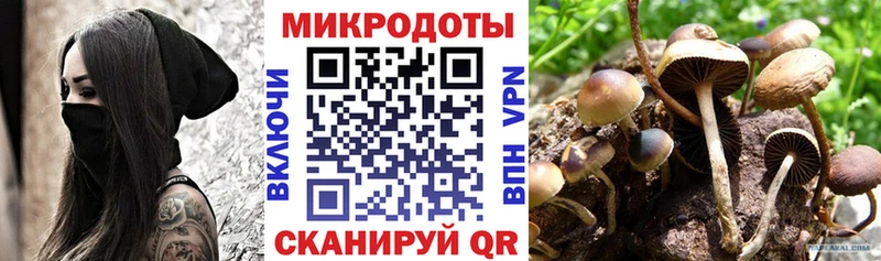 мега ссылка  Краснокаменск  Псилоцибиновые грибы Psilocybine cubensis 