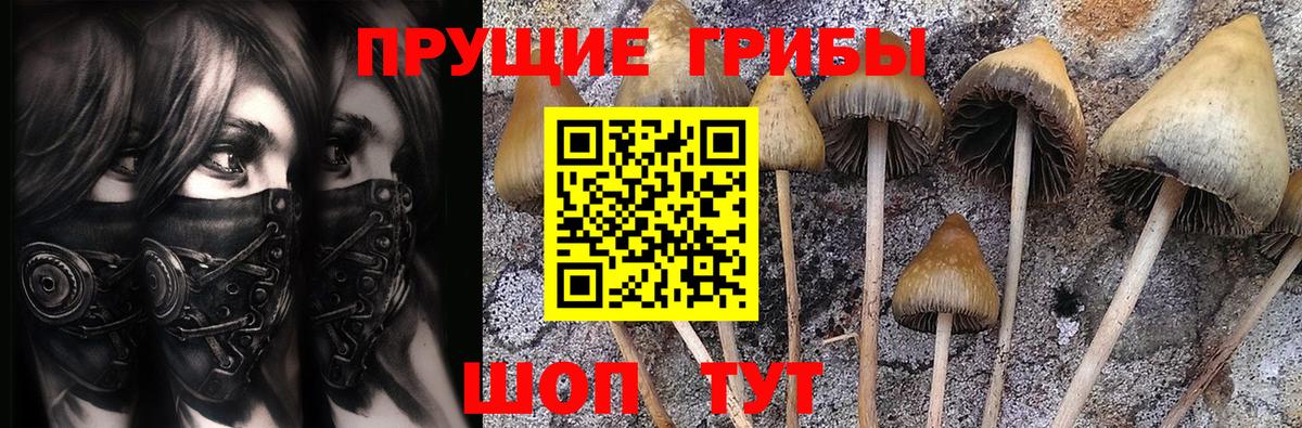 Псилоцибиновые грибы MAGIC MUSHROOMS Краснокаменск