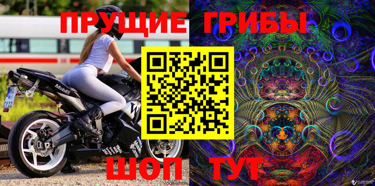 Краснокаменск  Псилоцибиновые грибы мицелий  Вход с VPN 